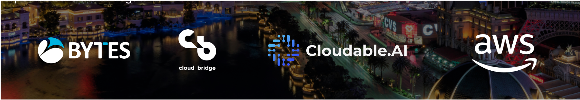 launch party banner.png