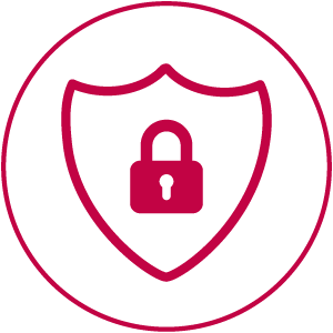 data protection icon